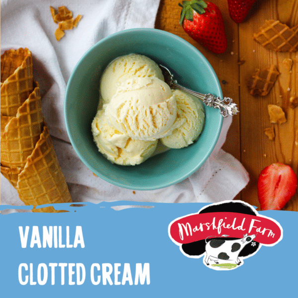 Marshfield Vanilla Clotted Cream