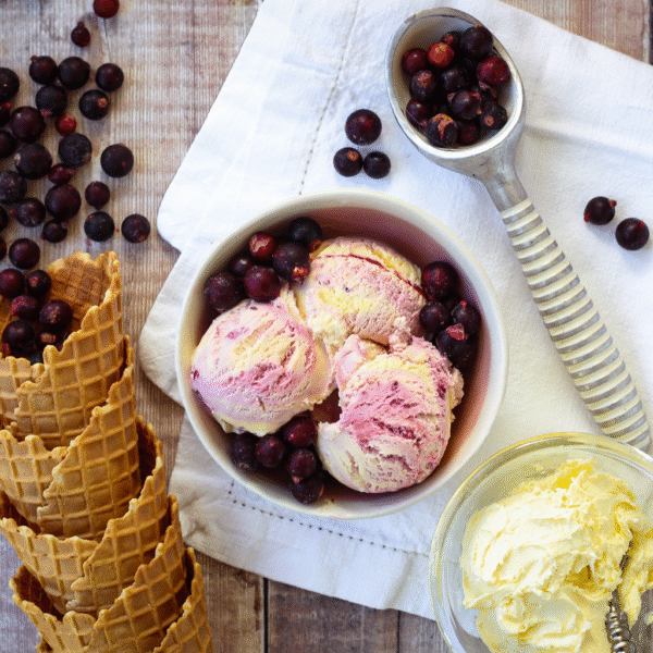 Marshfield Blackcurrant &  Clotted Cream Mini Tub