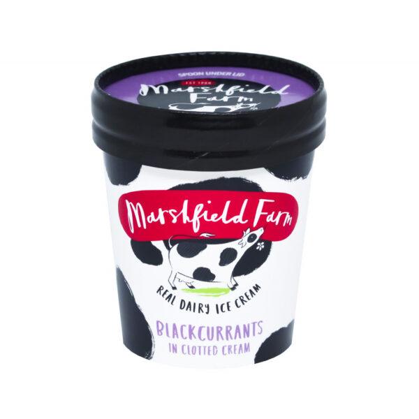 Marshfield Blackcurrant &  Clotted Cream Mini Tub - Image 2