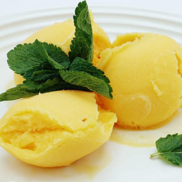 Childhay Manor Mango Sorbet