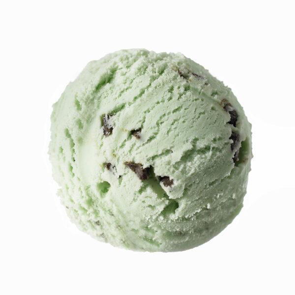 Childhay Manor Mint Choc Chip Ice Cream