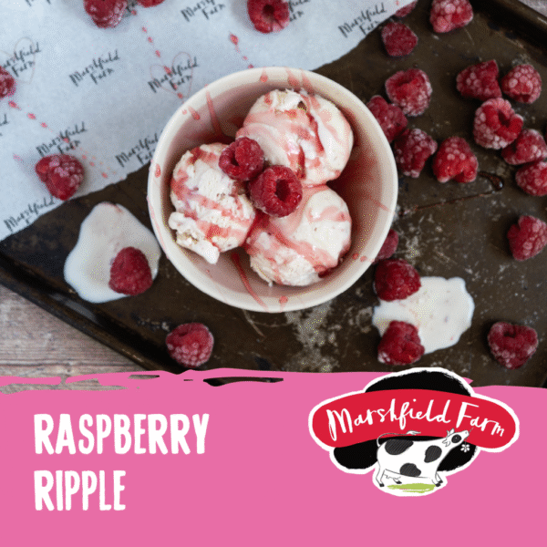 Marshfield Raspberry Ripple