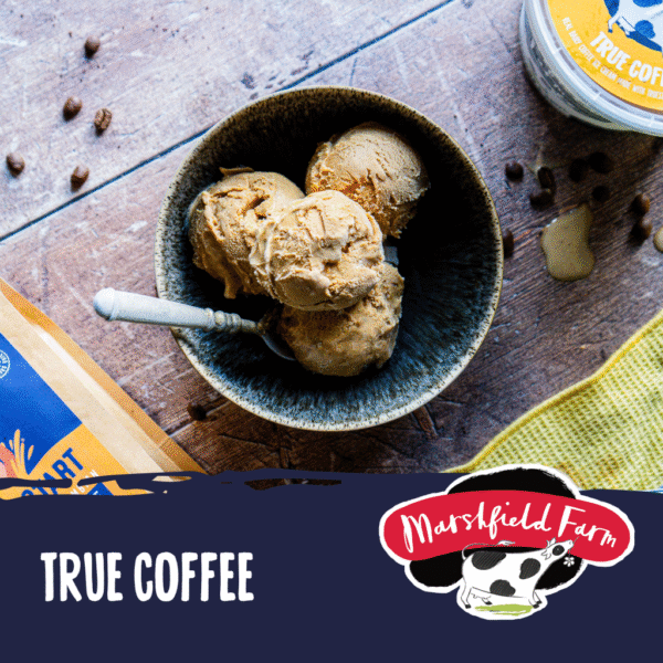 Marshfield True Coffee Ice Cream