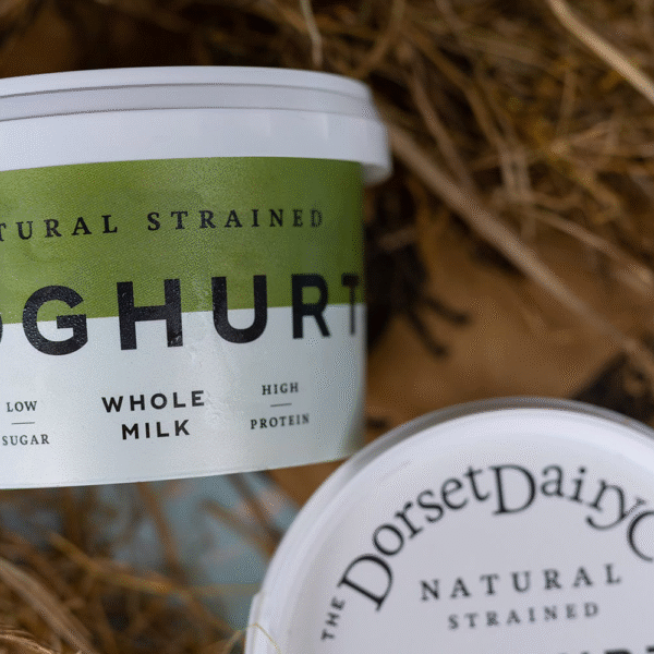Dorset Whole Milk Strained Yogurt