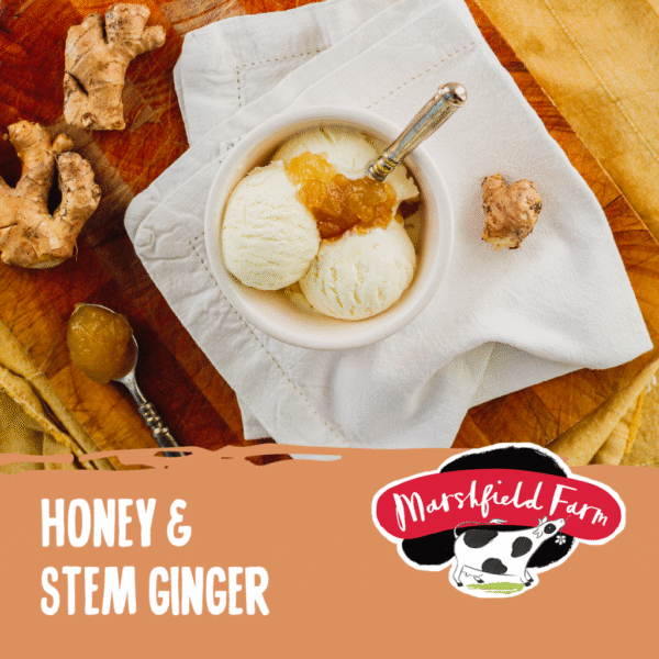 Marshfield Honey & Stem Ginger