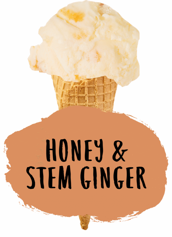Marshfield Honey & Stem Ginger - Image 2