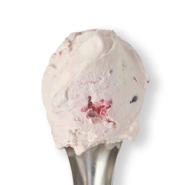 Baboo Damson Ripple Gelato 2.25lt