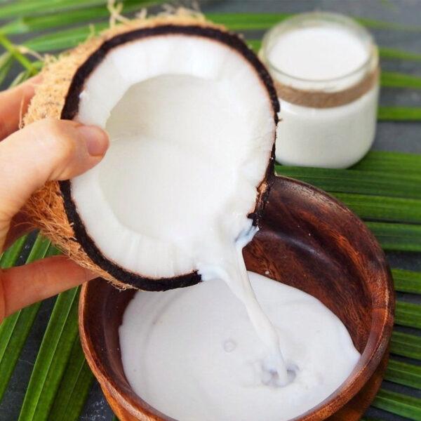 Coconut Milk 12-14% Fat
