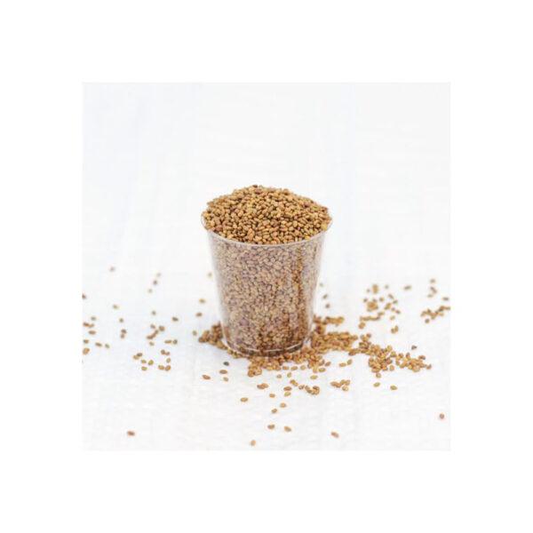 Aconbury Organic Alfalfa Seed
