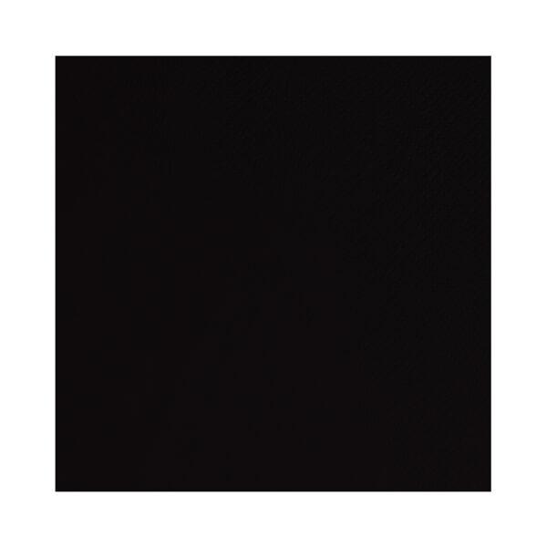 2 Ply 24cm Black Cocktail Napkins