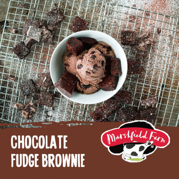 Marshfield Chocolate Fudge Brownie