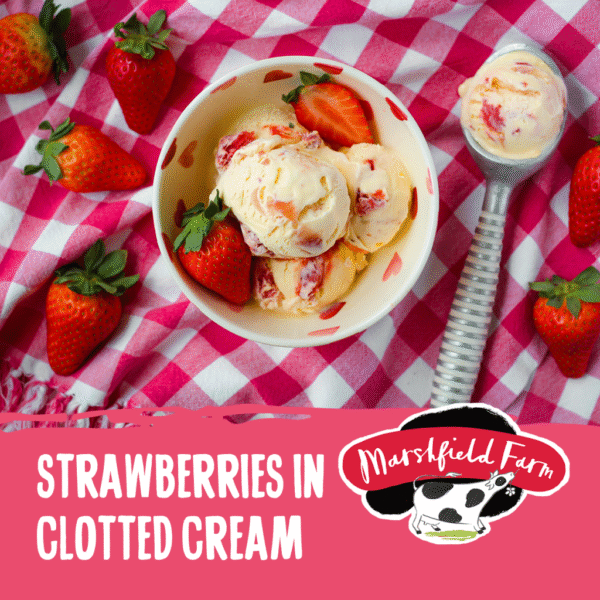 Marshfield Strawberry Clotted Cream