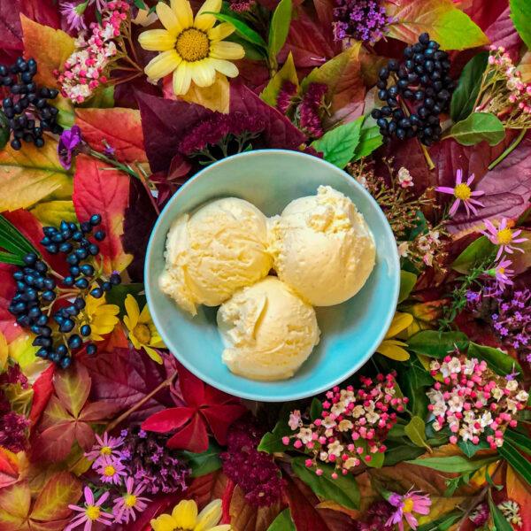 Marshfield Plant Based Vanilla