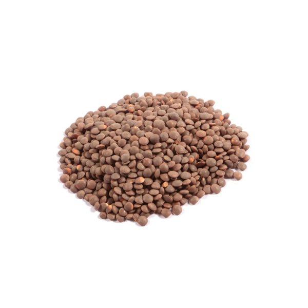 Brown Lentils