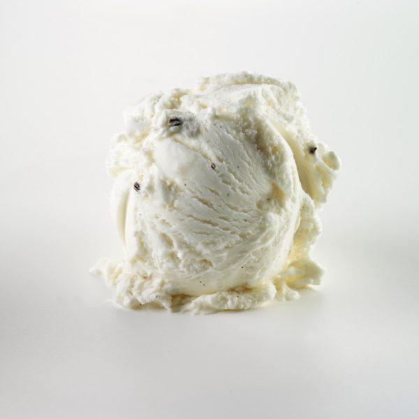 Gelarto Madagascan Vanilla