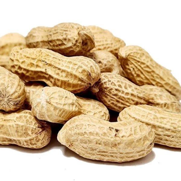 Inshell Peanut Monkey Roasted