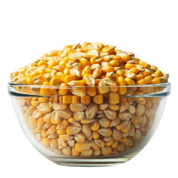 Organic Popping Corn