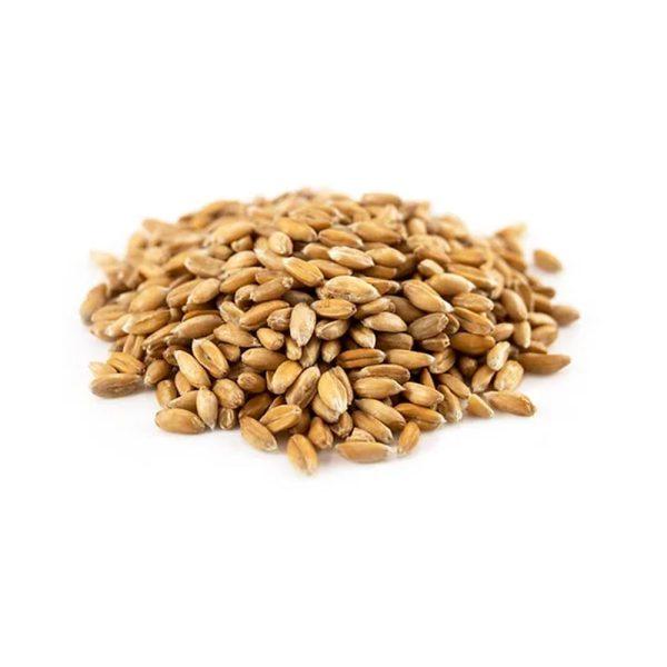 Organic Spelt Grain Hulled