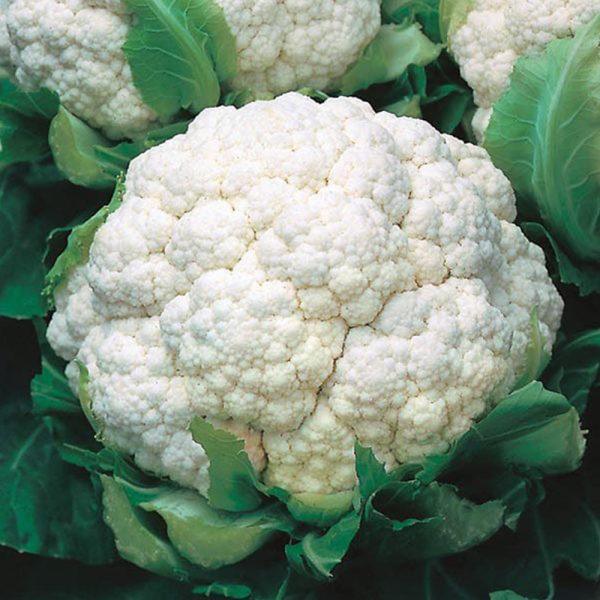 Frozen Ale & Pie Winter Cauliflower