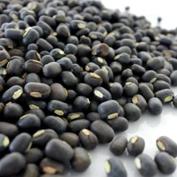 Organic Black Turtle Beans