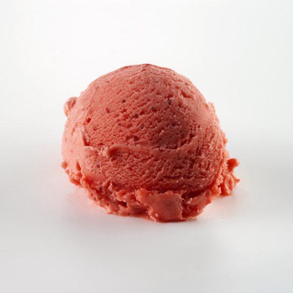 Gelarto Strawberry Sorbet