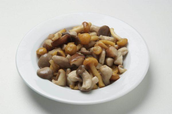 Woodland Mushroom Mix
