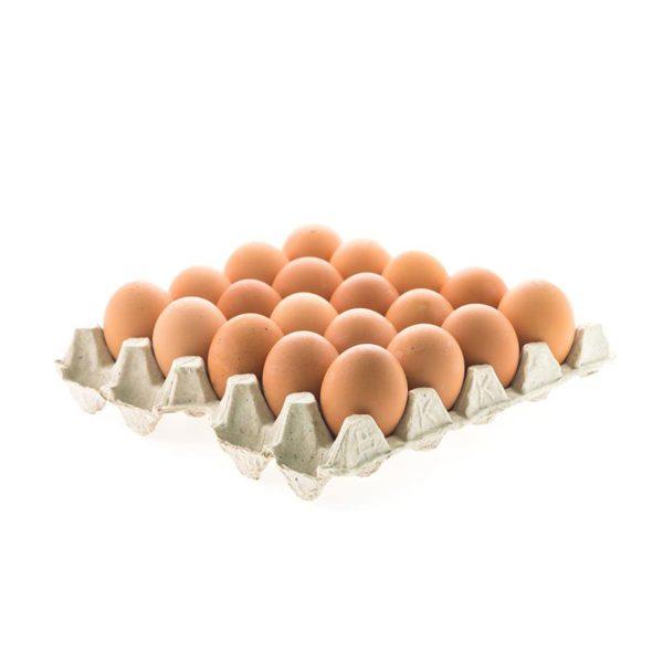 Medium Free Range Eggs