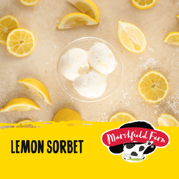 Marshfield Lemon Sorbet