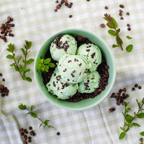 Marshfield Mint Choc Chip