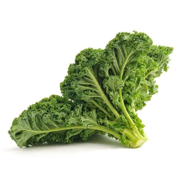 Natural Cool Organic Curly Kale