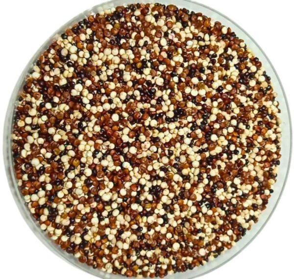 Organic Tricolor Quinoa