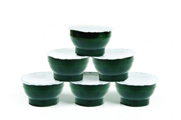 Individual Xmas Puddings