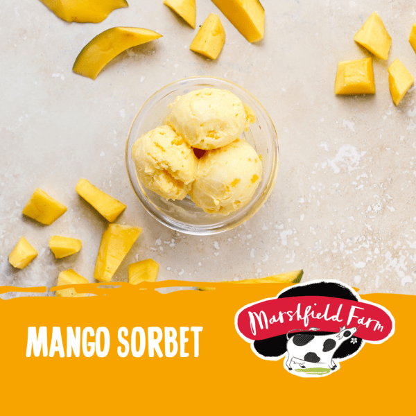 Marshfield Mango Sorbet