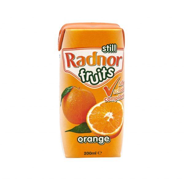 Radnor Fruits Orange Carton - Image 2