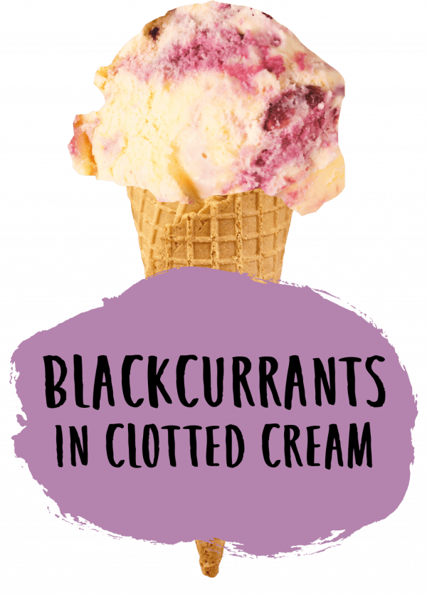 Marshfield Blackcurrant & Clotted Cream - Image 2