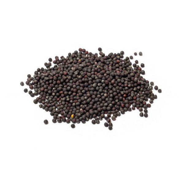 Aconbury Organic Broccoli Seed