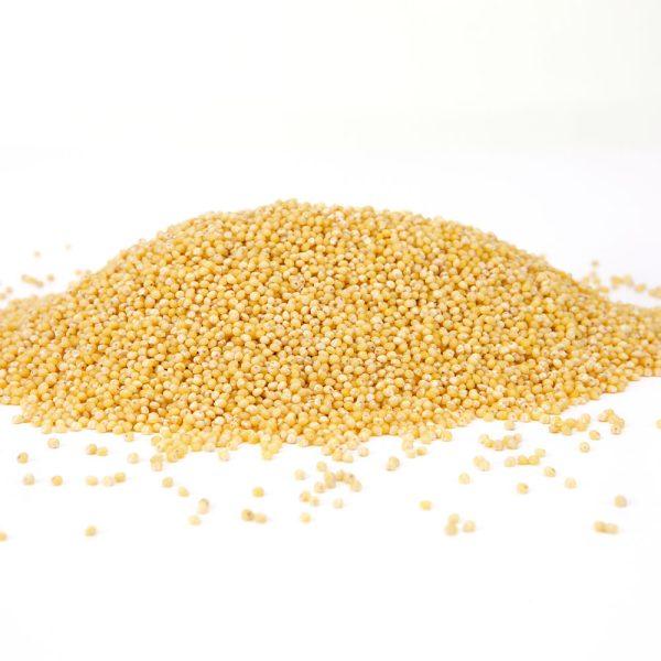 Millet Grain