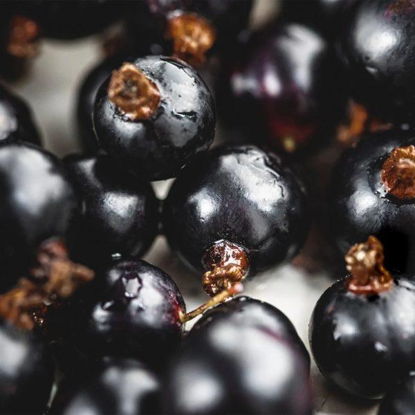 Windmill Hill Organic British Blackcurrants