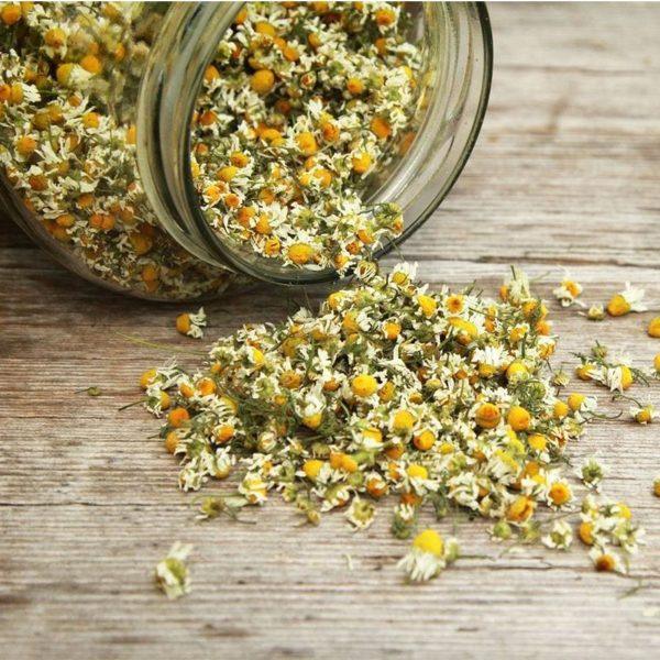 Chamomile Flowers
