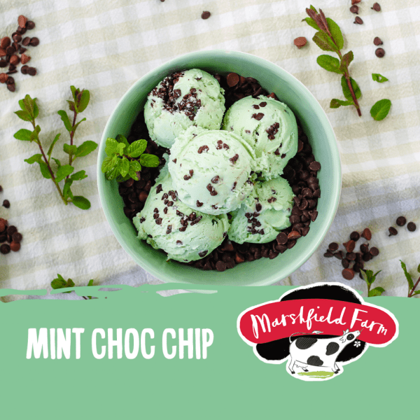 Marshfield Mint Choc Chip
