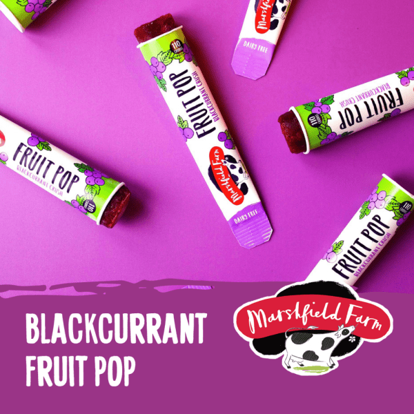 Marshfield Blackcurrant Fruit Pop