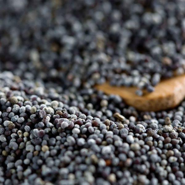 Blue Poppy Seed