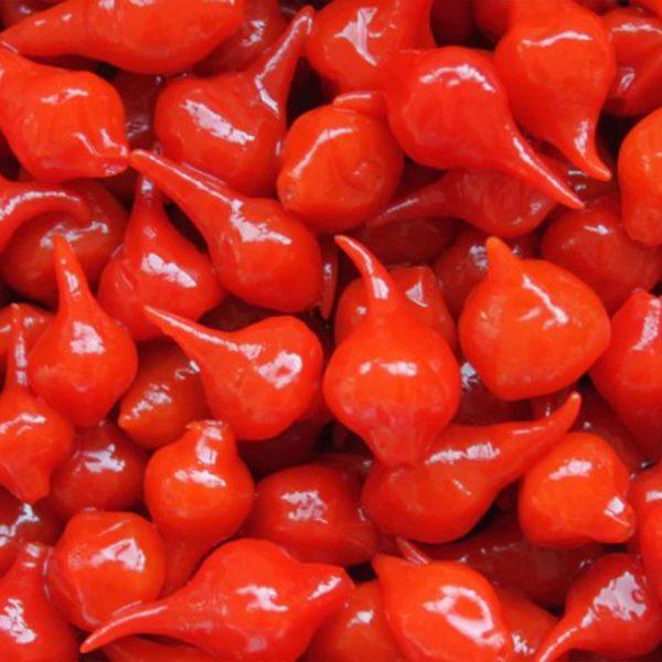 Sorriso Roasted Sweet Red Drop Peppers