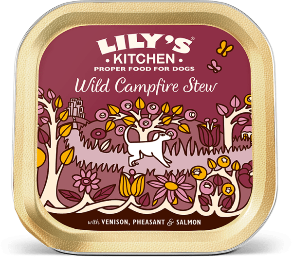 Lilys Wild Campfire Stew For Dogs
