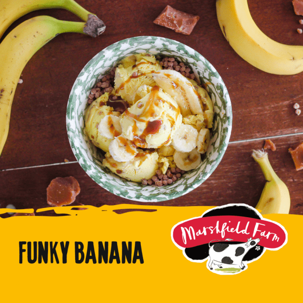Marshfield Funky Banana