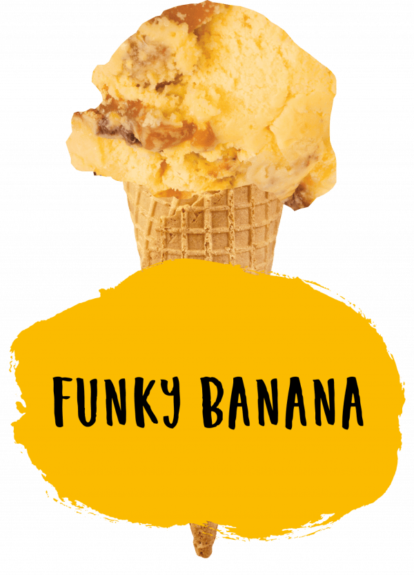 Marshfield Funky Banana - Image 2
