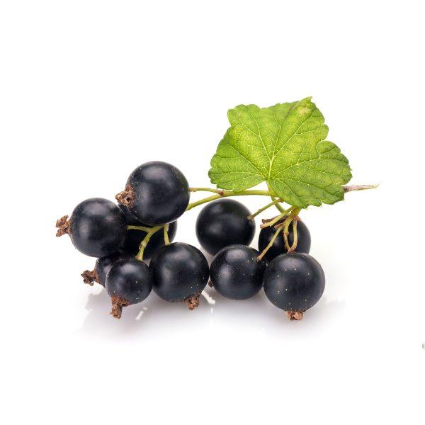 Windmill Hill British Blackcurrants