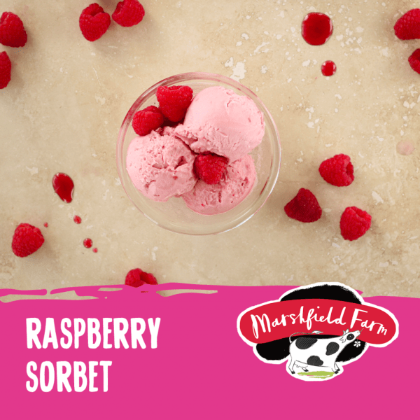 Marshfield Raspberry Sorbet