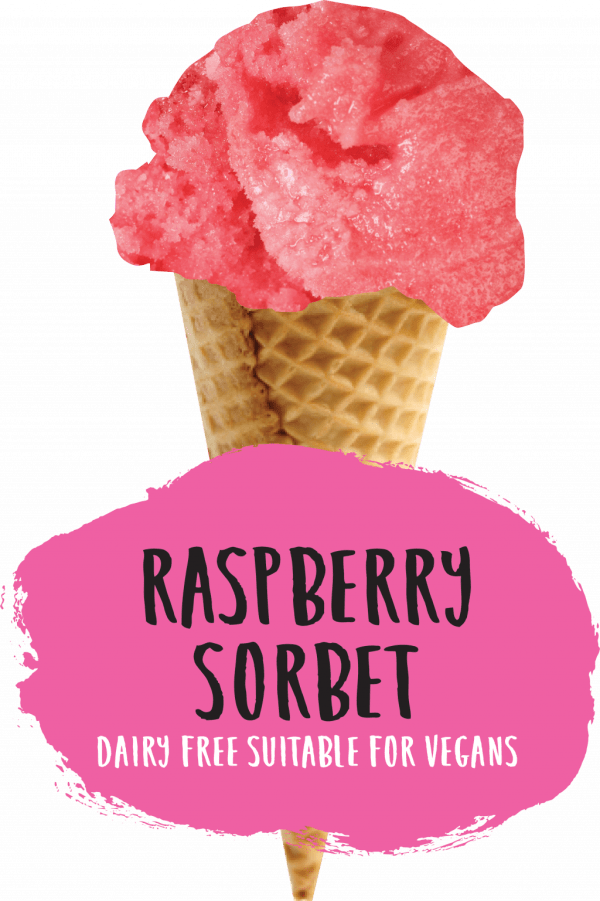 Marshfield Raspberry Sorbet - Image 2