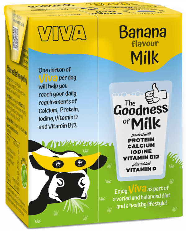 Viva Banana Milk Carton